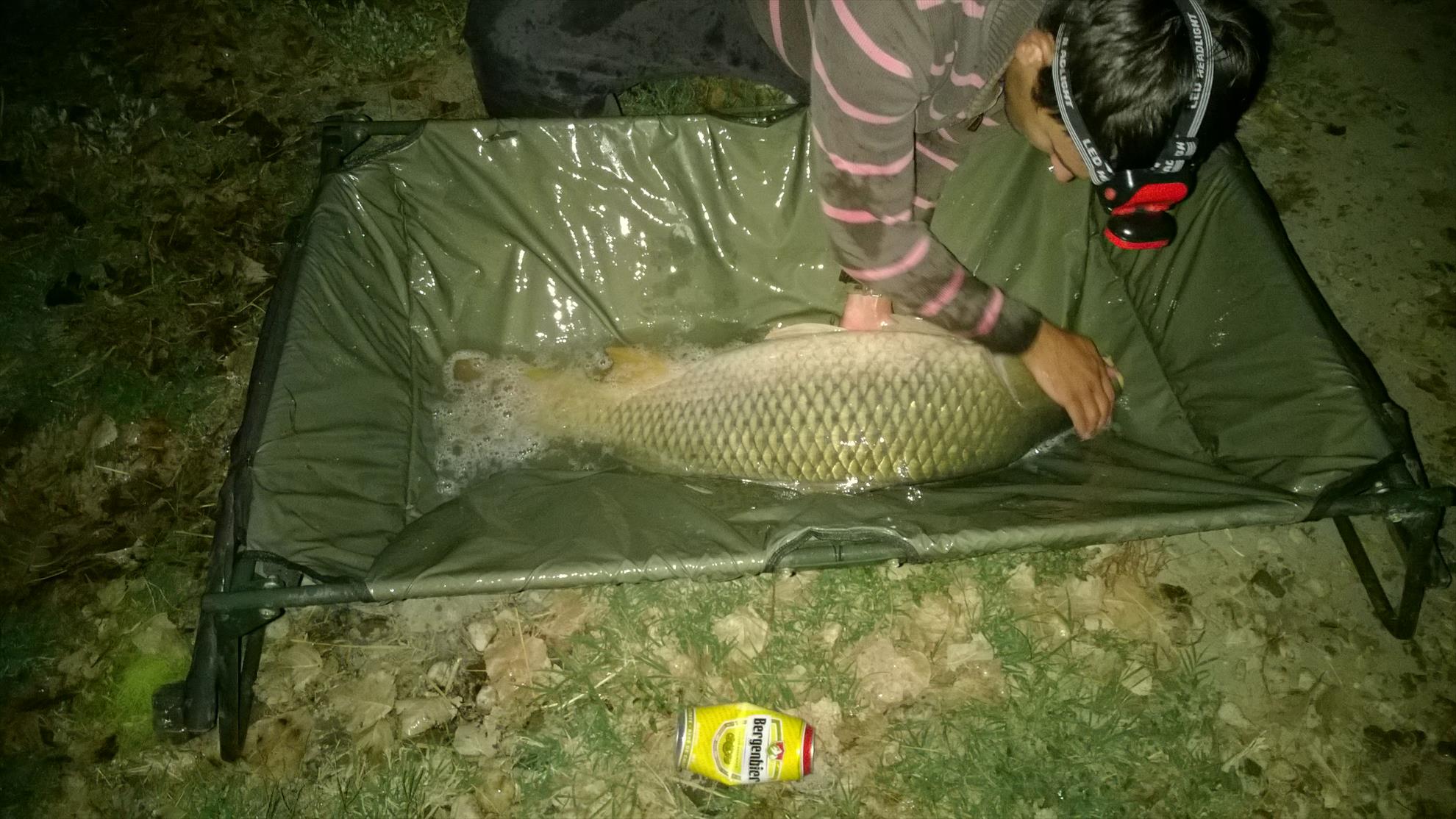 Hermes Peris 12 - 14 septembrie 2014 - wp20140914006.jpg